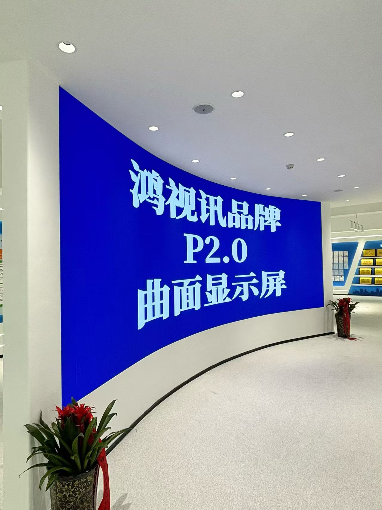 鸿视讯科技阜阳线上分站